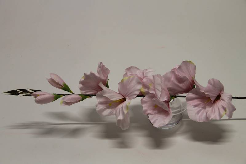MIECZYK DŁUGI 77 CM LT.PINK