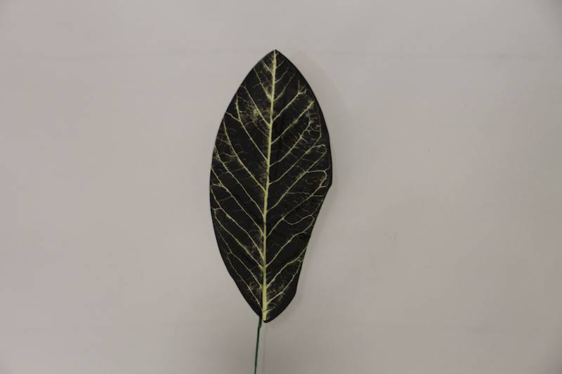 LIŚĆ KALATEA 49 CM SZARO-CZARNY 12 SZT.