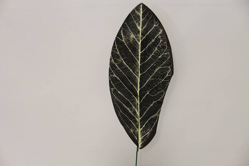 LIŚĆ KALATEA 49 CM SZARO-CZARNY 12 SZT.