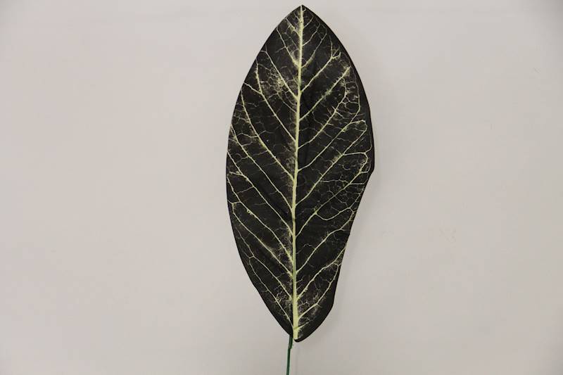 LIŚĆ KALATEA 49 CM SZARO-CZARNY 12 SZT.