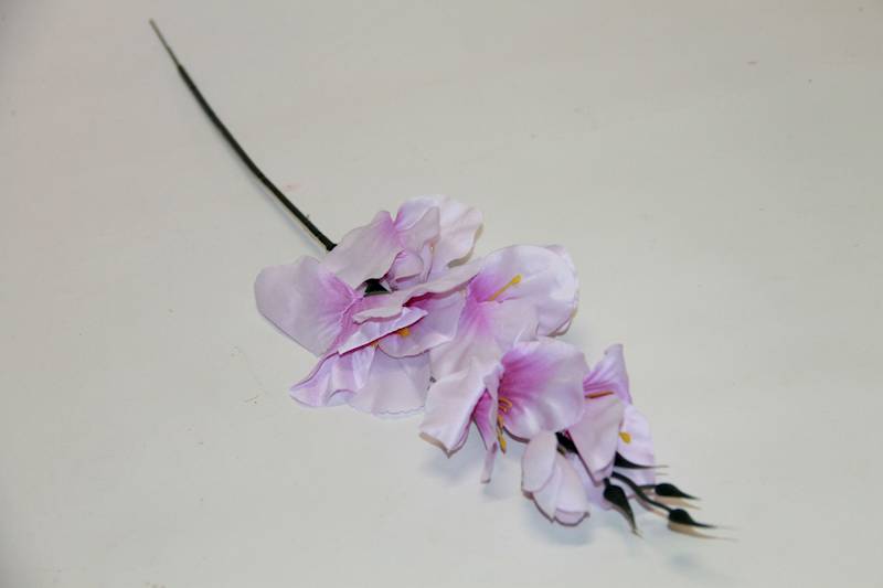 MIECZYK KRÓTKI  55CM