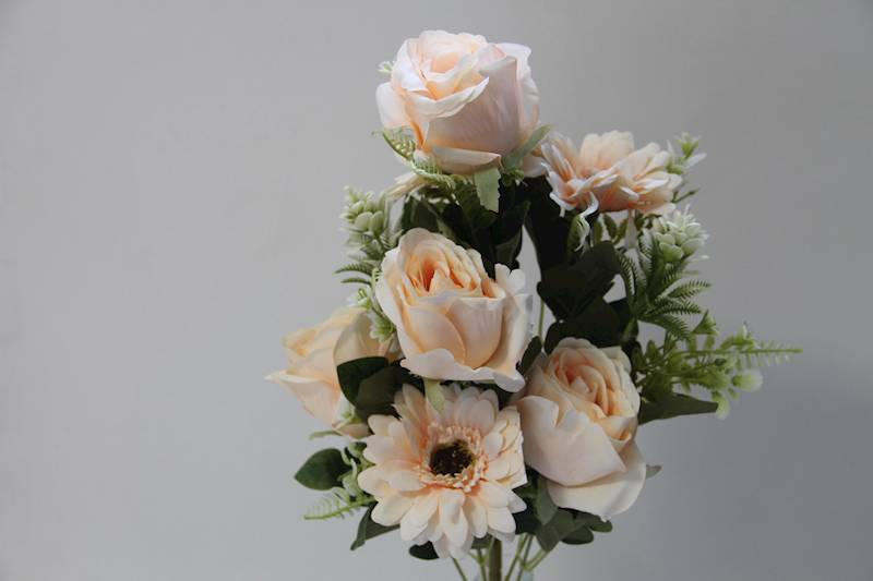 BUKIET RÓŻA GERBERA X 9 • ,;: LT.PEACH
