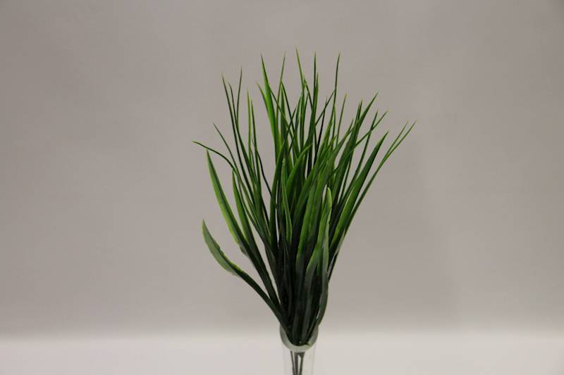 TRAWA DRACENA GAŁĄZKA X 5   43 CM