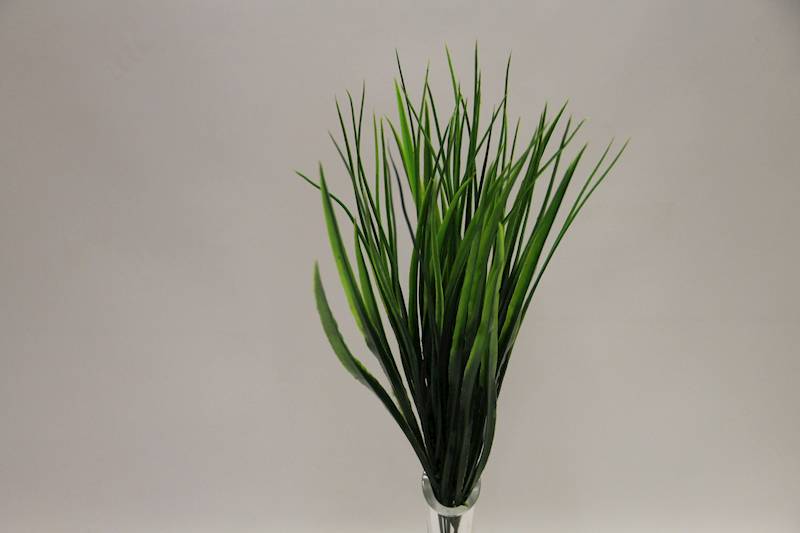 TRAWA DRACENA GAŁĄZKA X 5   43 CM