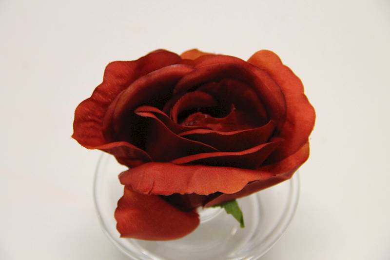 RÓŻA GŁÓWKA 8 CM RED