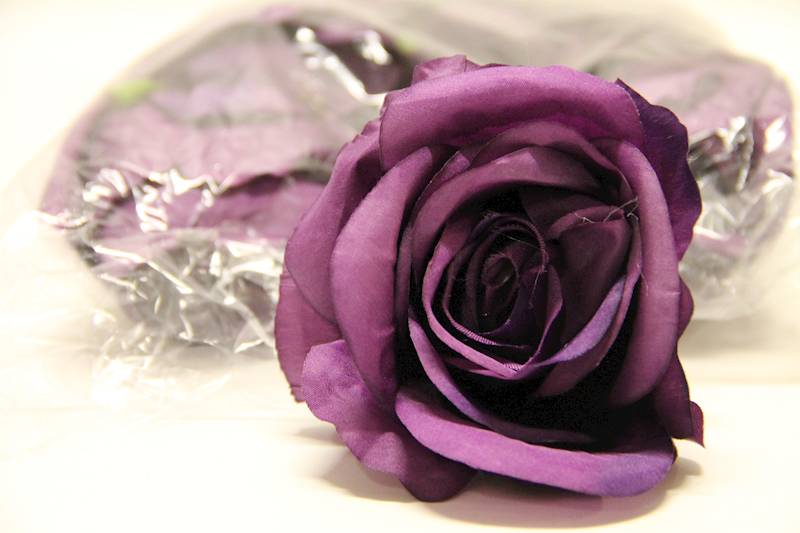 RÓŻA GŁÓWKA 8 CM PLUM