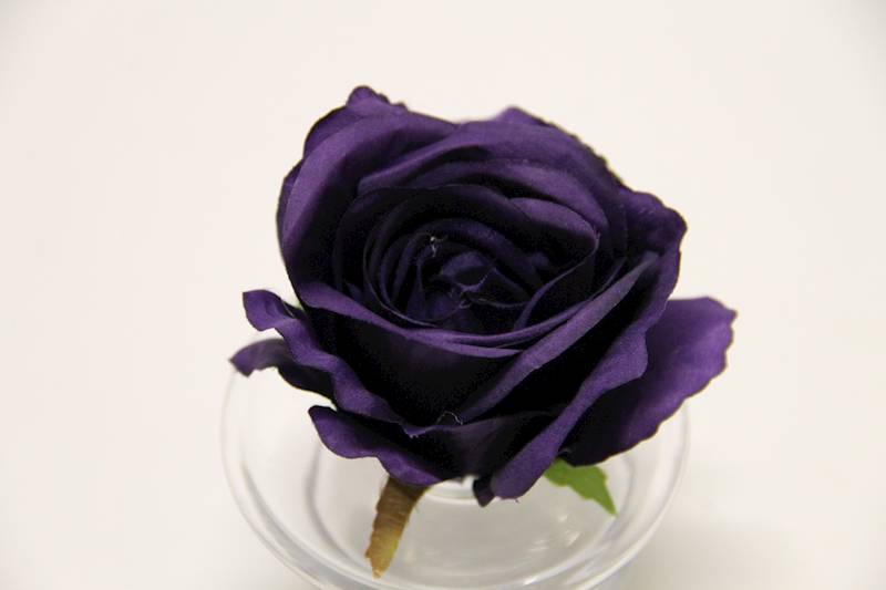 RÓŻA GŁÓWKA 8 CM DARK VIOLET