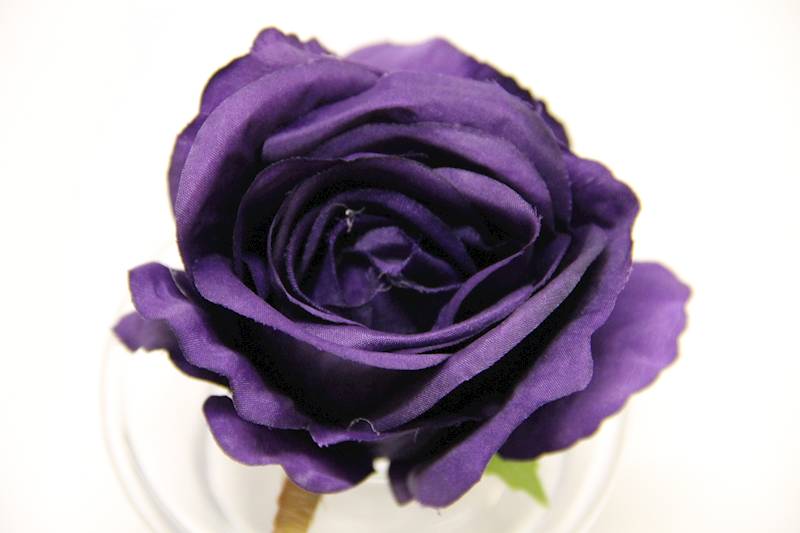 RÓŻA GŁÓWKA 8 CM DARK VIOLET