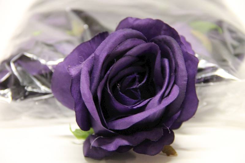RÓŻA GŁÓWKA 8 CM DARK VIOLET