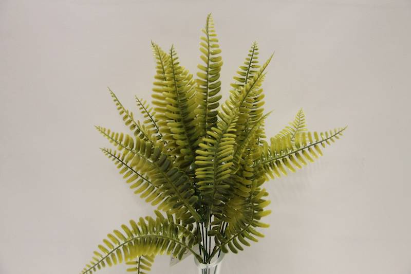 PAPROĆ BUKIET X 5   47 CM