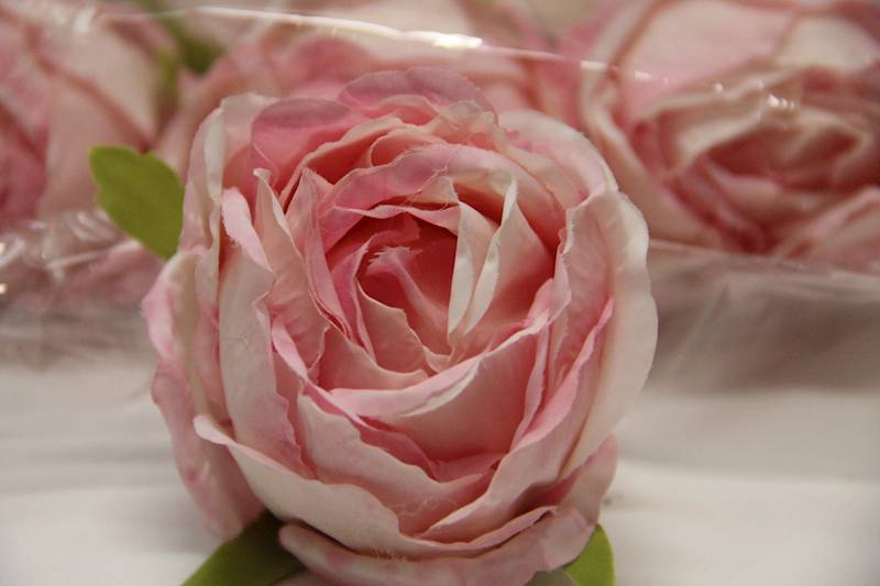 RÓŻA WYROBOWA PUDROWA • ,;: #2179 POWDER PINK