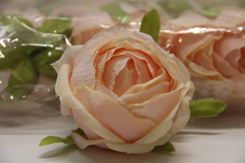 RÓŻA WYROBOWA PUDROWA • ,;: POWDER PEACH