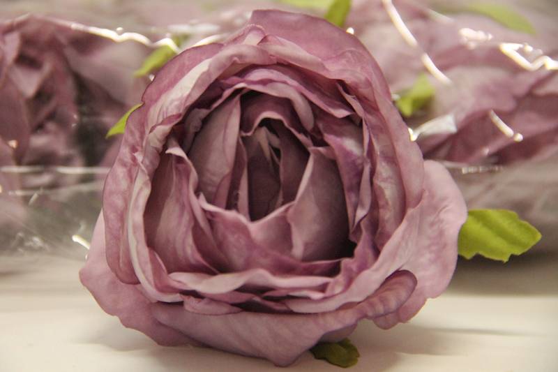 RÓŻA WYROBOWA PUDROWA • ,;: POWDER VIOLET