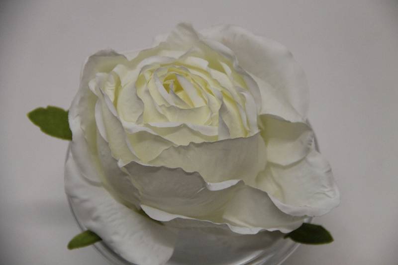 RÓŻA WYROBOWA PUDROWA • ,;: WHITE