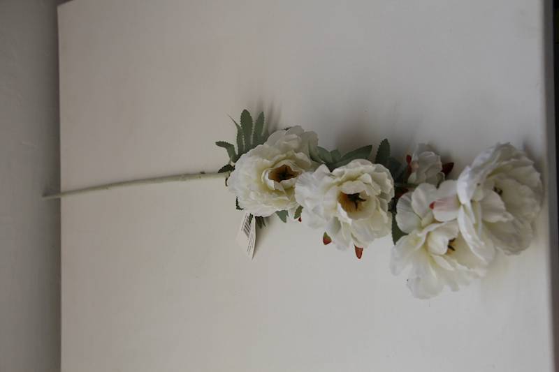 ANEMON • ': WHITE.