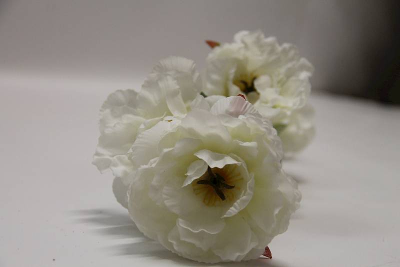 ANEMON • ': WHITE.