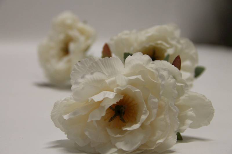 ANEMON • ': _1 CREAM
