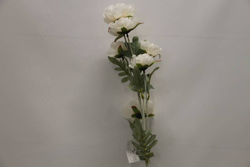 ANEMON • ': _1 CREAM