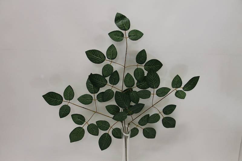 LIŚĆ RÓŻY X3 GREEN