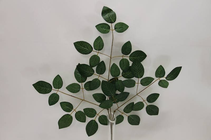 LIŚĆ RÓŻY X3 GREEN