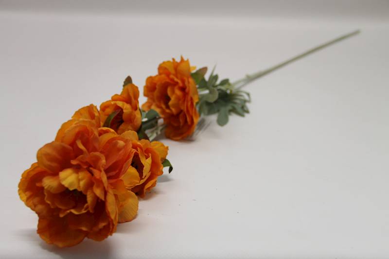 ANEMON • ': ORANGE.