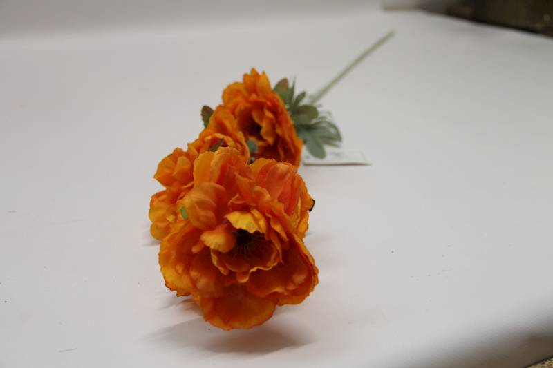 ANEMON • ': ORANGE.