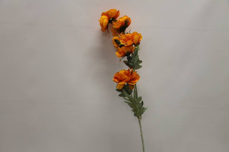 ANEMON • ': ORANGE.