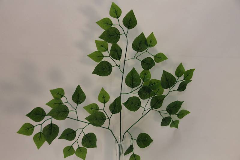 BRZOZA GAŁĄZKA LIŚCIASTA 70 CM