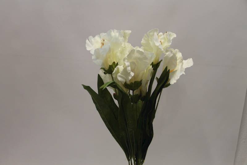 LILIA BUKIET 60 CM • ': CREAM.