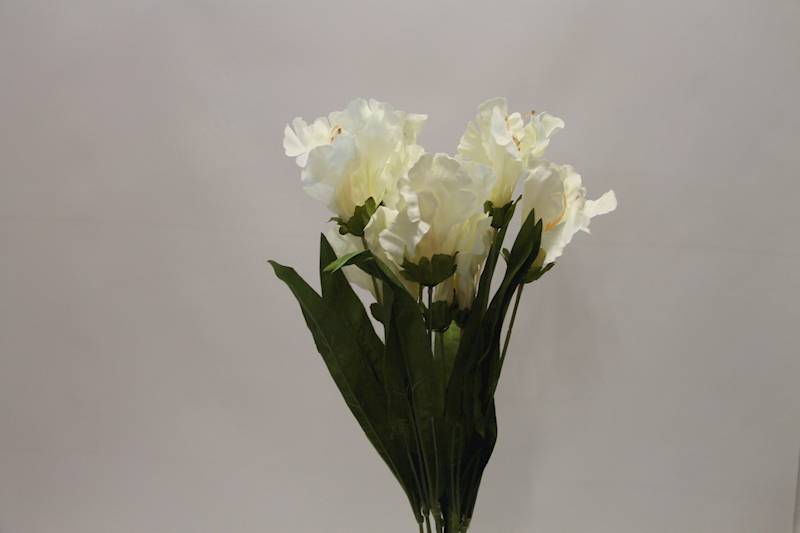 LILIA BUKIET 60 CM • ': CREAM.