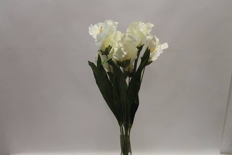 LILIA BUKIET 60 CM • ': CREAM.