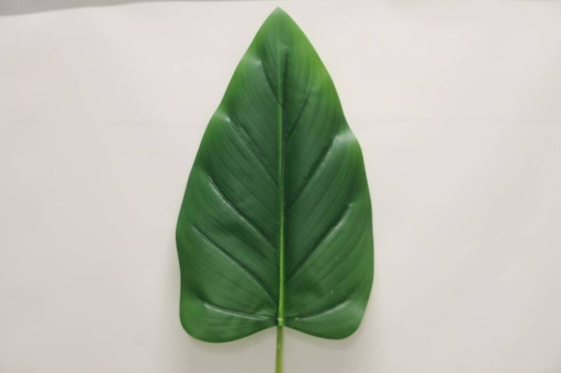 LIŚĆ FILODENDRON GUMOWANY 93 CM