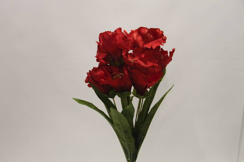 LILIA BUKIET 60 CM • ': RED.