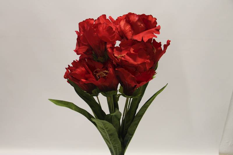 LILIA BUKIET 60 CM • ': RED.