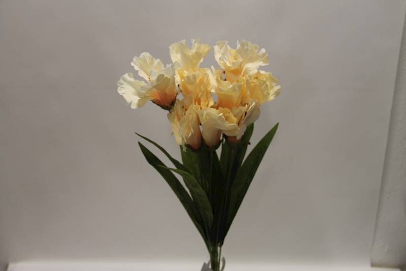 LILIA BUKIET 60 CM • ': PEACH.
