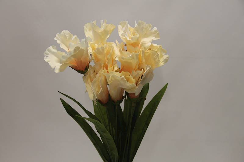 LILIA BUKIET 60 CM • ': PEACH.