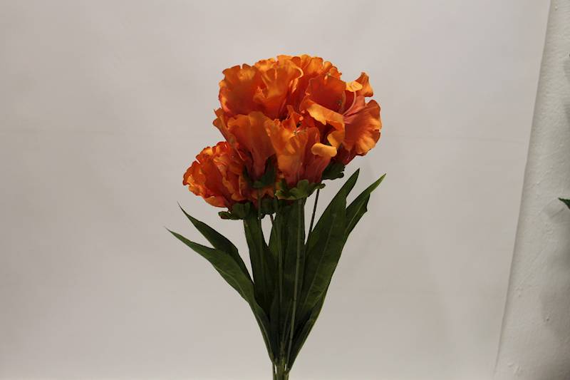 LILIA BUKIET 60 CM • ': ORANGE.