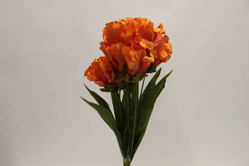 LILIA BUKIET 60 CM • ': ORANGE.