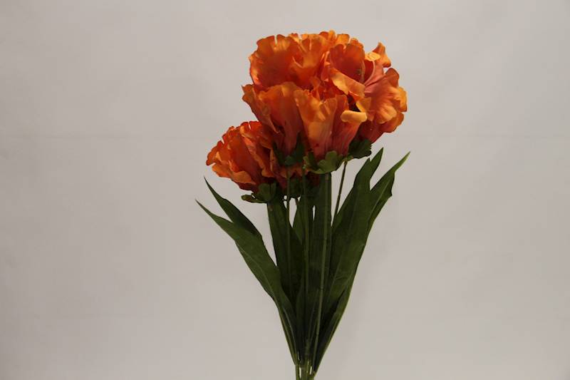 LILIA BUKIET 60 CM • ': ORANGE.
