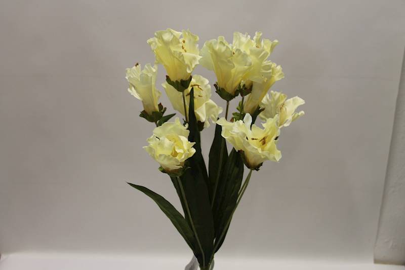 LILIA BUKIET 60 CM • ': YELLOW.