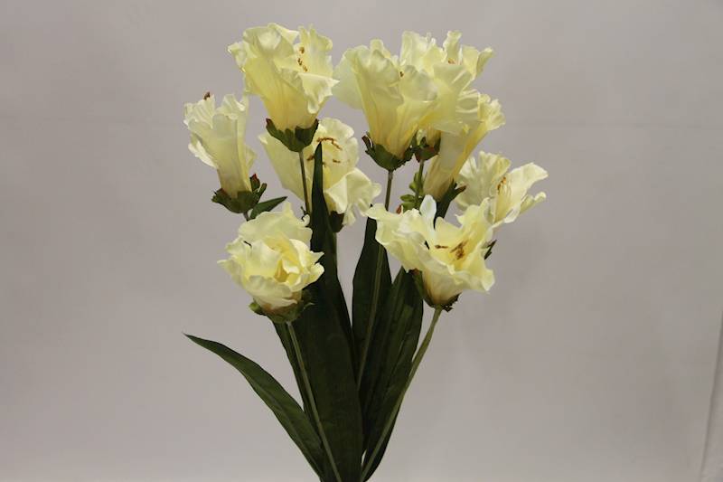 LILIA BUKIET 60 CM • ': YELLOW.