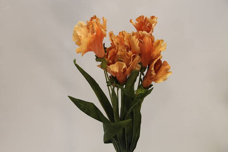 LILIA BUKIET 60 CM • ': AUTUMN ORANGE