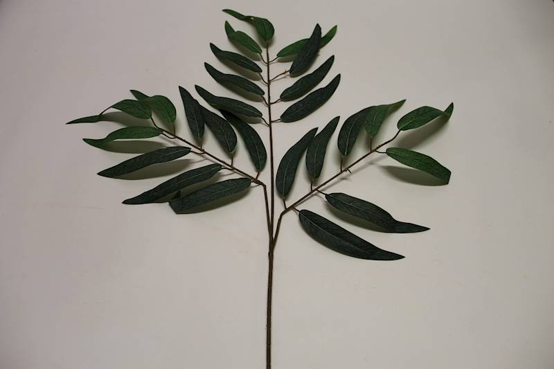 LIŚĆ EUKALIPTUS PODŁUŻNY X 3 DARK GREEN