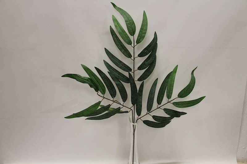 LIŚĆ EUKALIPTUS PODŁUŻNY X 3 DARK GREEN