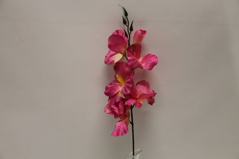 MIECZYK KRÓTKI MAGENTA 55CM
