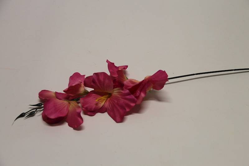 MIECZYK KRÓTKI MAGENTA 55CM