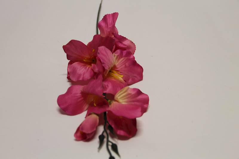 MIECZYK KRÓTKI MAGENTA 55CM