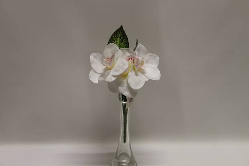 BUKIET CYMBIDIUM 3 KWIATY 32 CM • ': WHITE.
