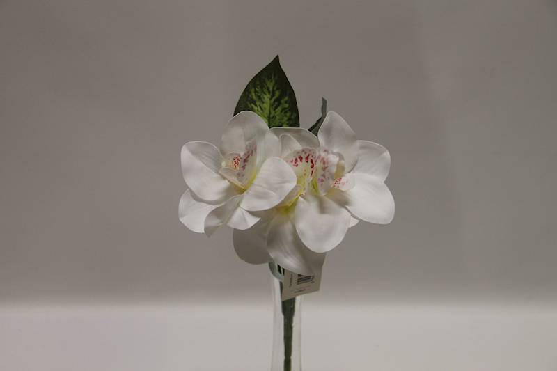 BUKIET CYMBIDIUM 3 KWIATY 32 CM • ': WHITE.