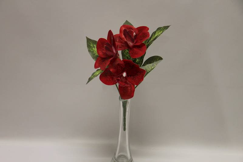 BUKIET CYMBIDIUM 3 KWIATY 32 CM • ': RED.